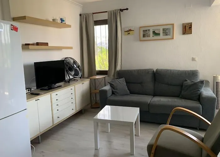 Estudio En El Palmar