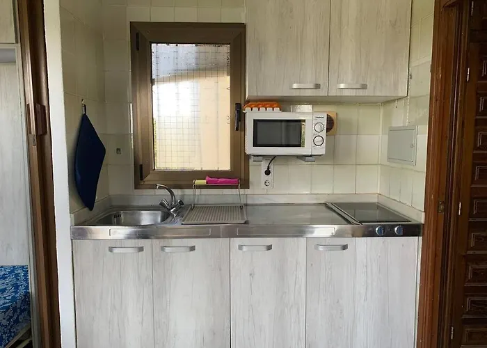 Estudio En El Palmar